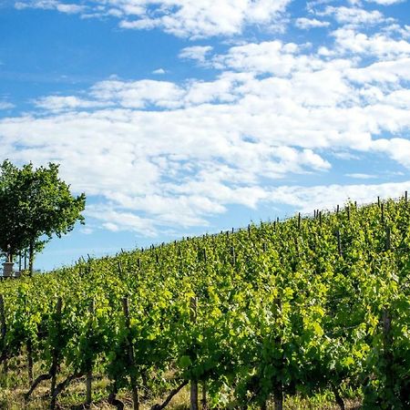 Weingut Knauer Dettelbach Exterior foto