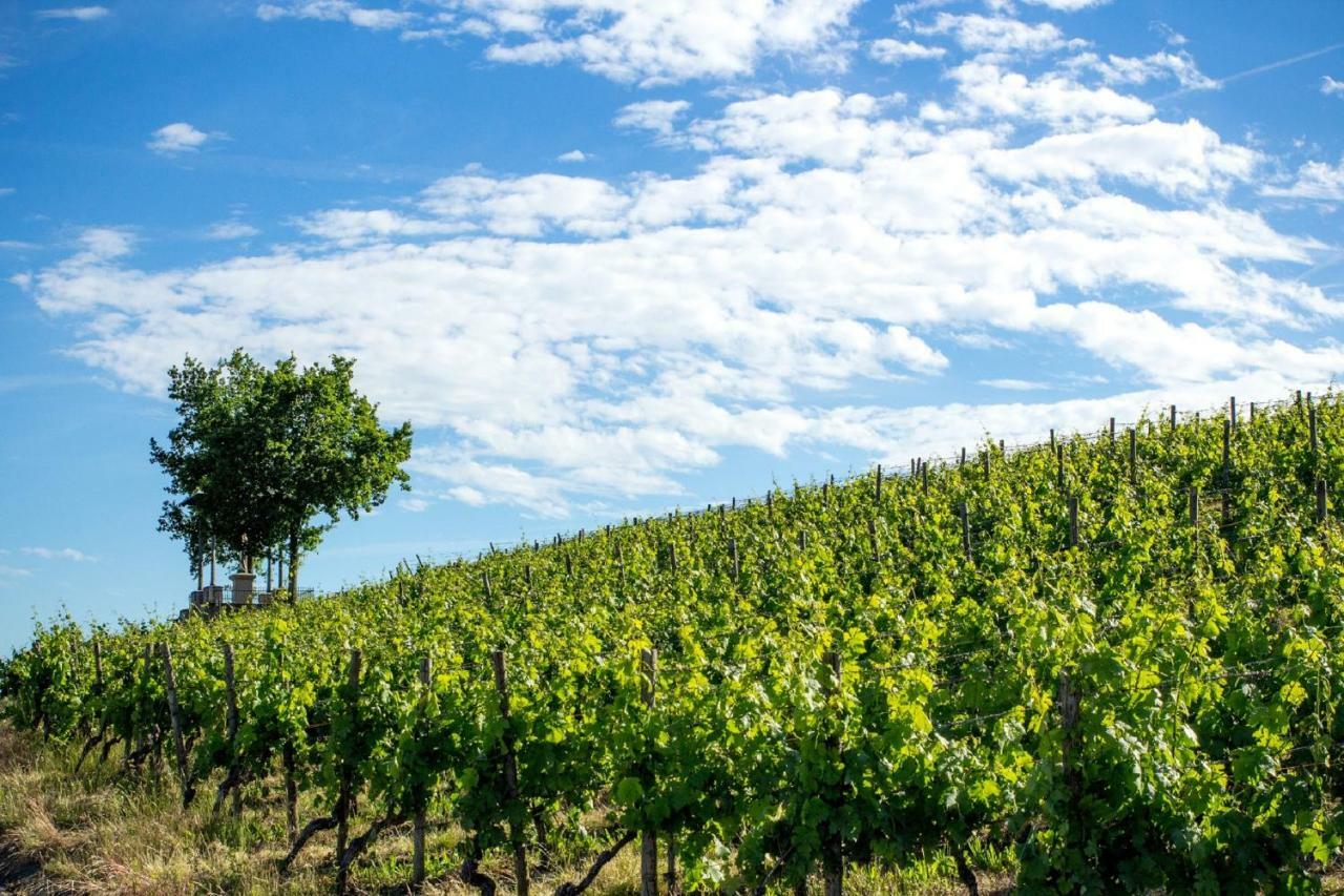 Weingut Knauer Dettelbach Exterior foto